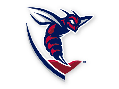 Shenandoah Athletics Secondary 1 athletics branding fly hornet icon logo motion shield sport stinger valley wings