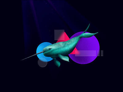 Sea creatures - Narwhal