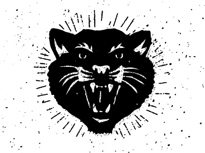 Bss black cat wip