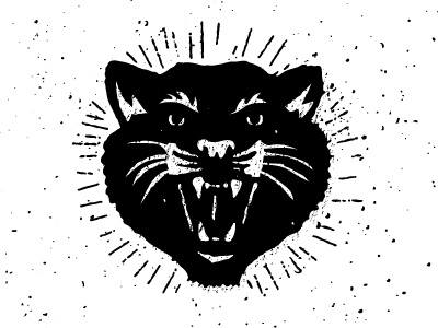 BSS Black Cat WIP animal black cat cat illustration texture vintage wildcat