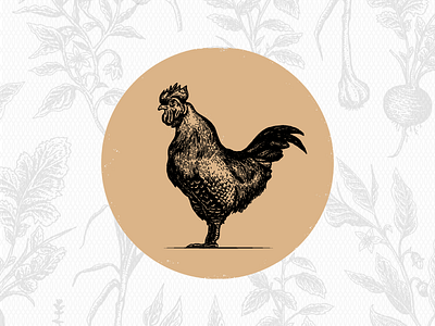 Farm to Table Illustrations