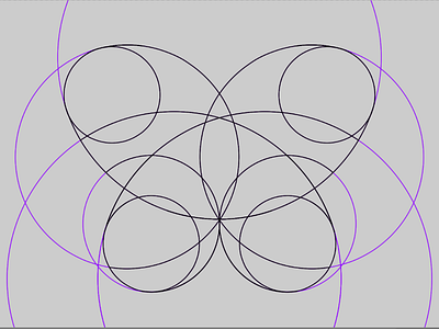 Wireframe Butterfly butterfly circles process wireframing