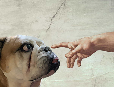 hands of god and frania bulldog creation design dog illustration