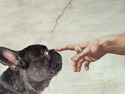 hands of god and gustaw l bulldog creation design dog illustration