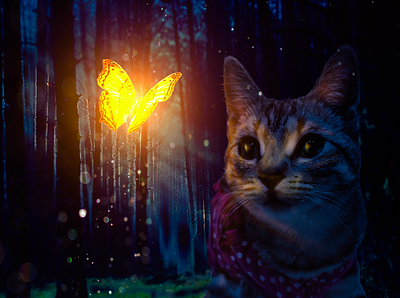Alexis butterfly cat kitty photomanipulation