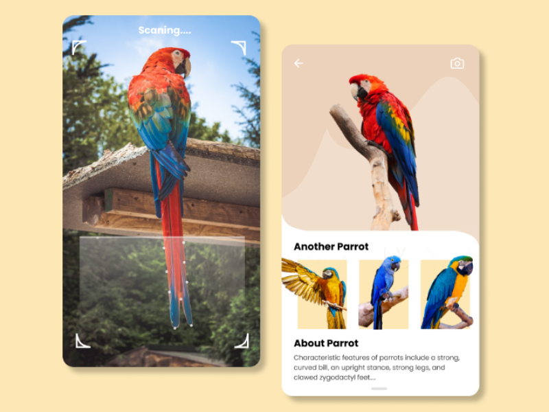 Scanning Parrot by Dimas Aditya Saputra on Dribbble