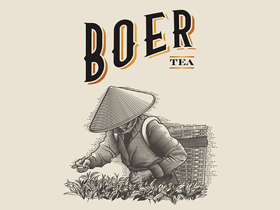 Boer Tea Logo and Ilustration design engraving illustration logo vintage logo