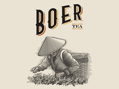 Boer Tea Logo and Ilustration