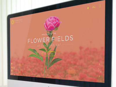 The Flower Fields - Concept carlsbad color design flower fields site ui user interface ux web design website