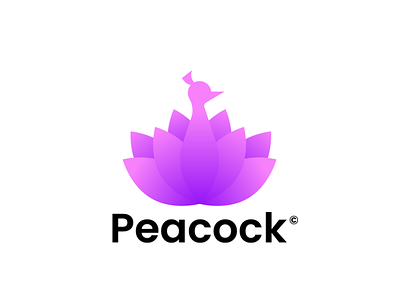 Peacock Logo design (Premade) branding design icon logo logo branding lettermark logo design minimal sale
