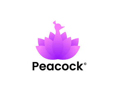 Peacock Logo design (Premade)