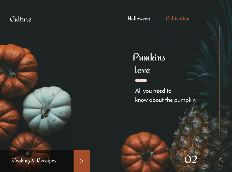 Pumpkin - Web UI /UX by Varun H on Dribbble