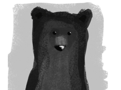 B for Bear animals bear character character design illustration illustrator