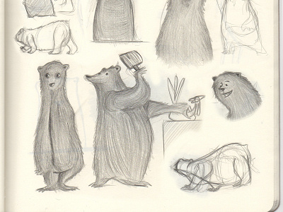 More Bear Sketches bear bears character character design illustration sketch