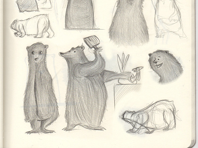 More Bear Sketches