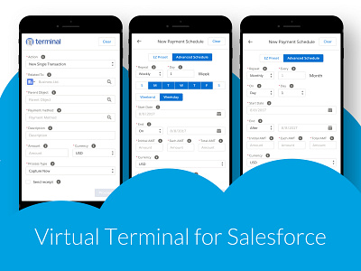 Virtual Terminal for Salesforce design library design system enterprise enterprise app enterprise software enterprise ux lightning design system salesforce sketch sketch app ui ux design uidesign ux design ux ui