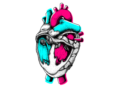 Anatomical Heart anatomical heart anatomy illustration medecine science science illustration