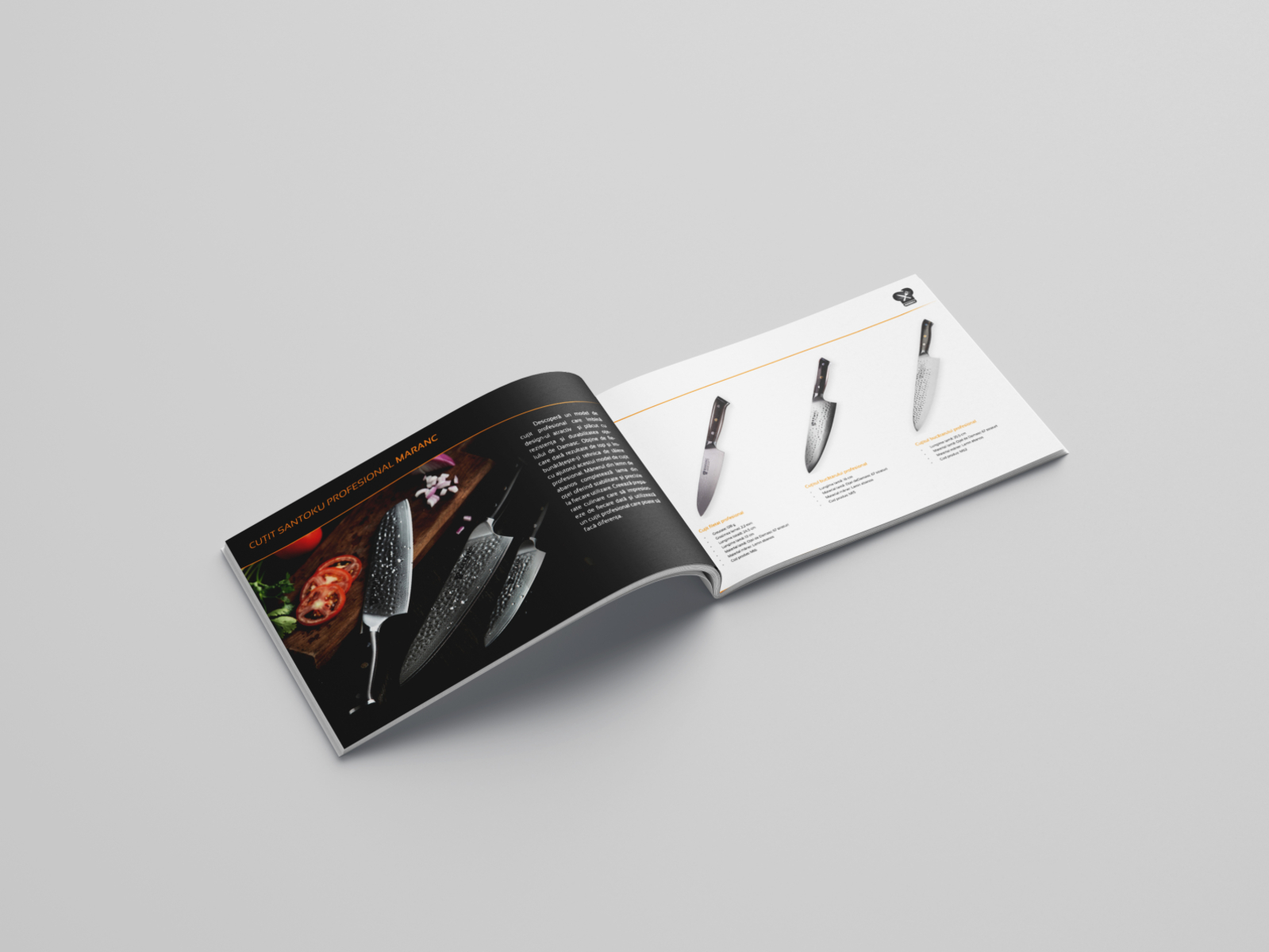 B5 Design Brochure Part 2 By Myway.design On Dribbble