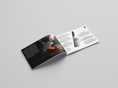 B5 Brochure Design 3
