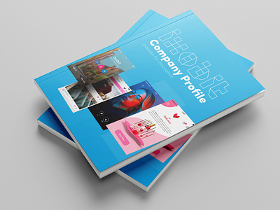 Company Profile Brochure Design branding brochure company profile indesign