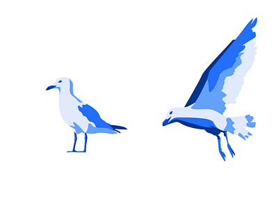 Gulls animal birds branding design graphic graphic design illustration illustrator monochrome