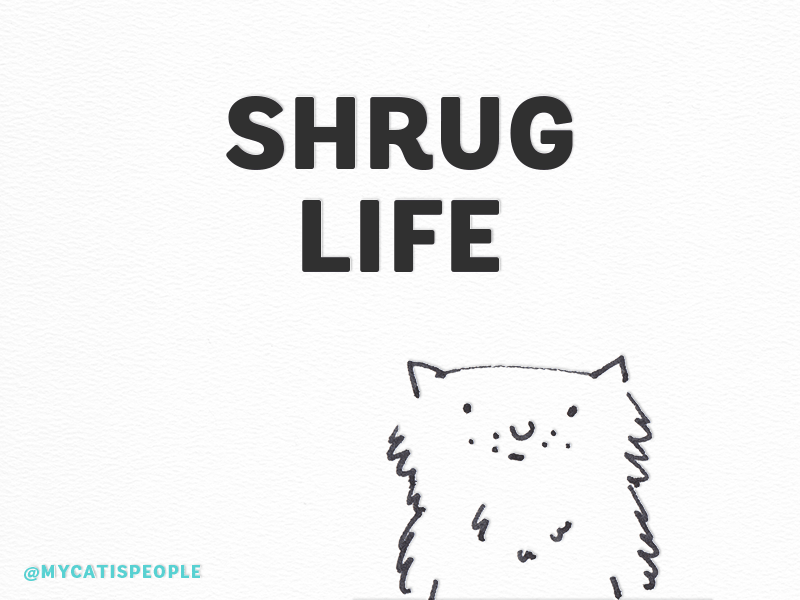 Shrug Life cute quiet introverts humour animated gif drawing handdrawn cats go with the flow happy go lucky shrug shrug life