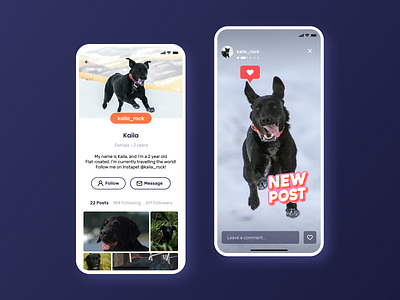 InstaPet - Social App Concept app design interface interface design ios minimal mobile app pet pet app profile profile card profile design profile page social social app social network stories ui ui design ux