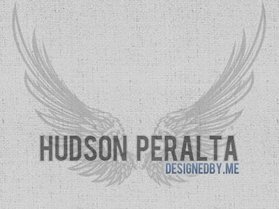 Hudson Peralta Branding brand design logo