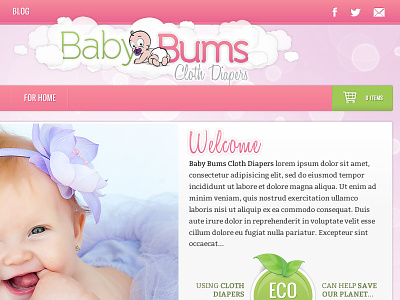Baby Bums Site/Logo Concept baby bums cloth concept diapers site