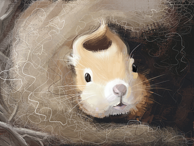 squirrel illustration білка тварин фотошоп