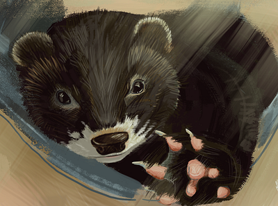 Leay fretka design illustration тварин фотошоп