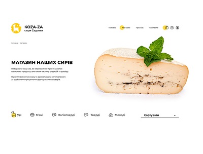 Kaza-za logo webdesign website