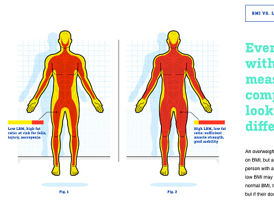 measuring your body mass body human infographic mass muscle
