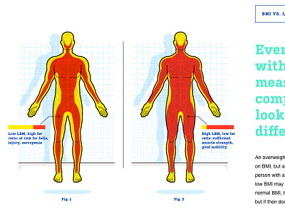 measuring your body mass