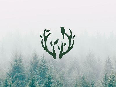 wonder lens logo antler logo antlers logo forest logo graphic design logo logo design nature logo tree logo