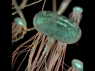 Jellyfish 3d cinema 4d jellyfish