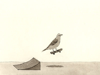 What birds do when we aren't looking: skateboard bird humor silly skateboard
