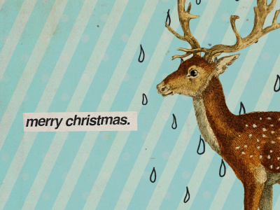 Raindeer Christmas Card