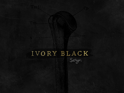 Seryn-Ivory Black black bone diagram gold ivory seryn