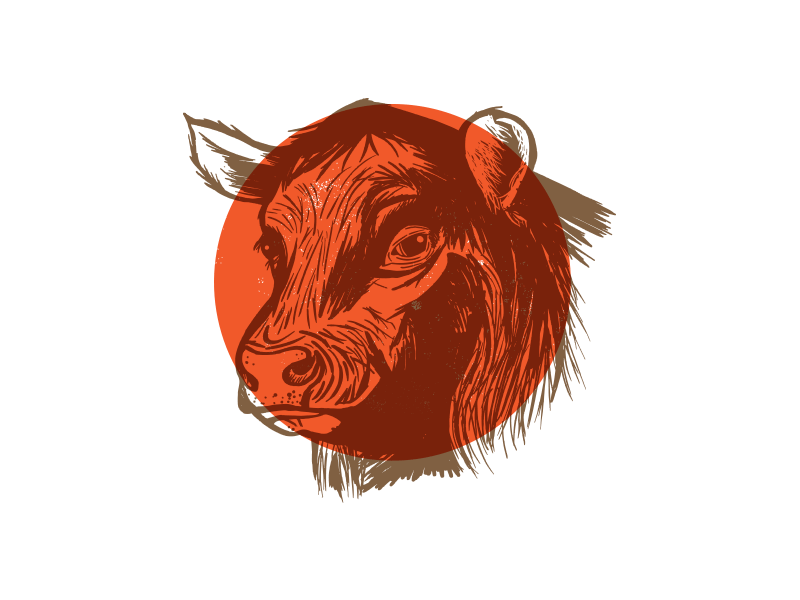 Cow