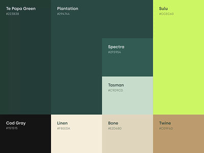 Color Palette animation brand design brand identity branding color color palette guidlines identity motion motion graphics ui user interface visual visual identity