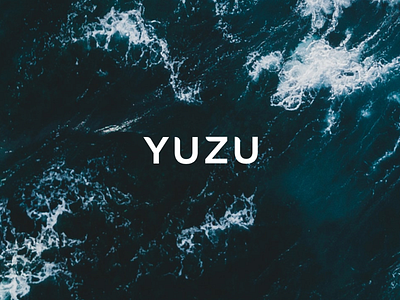 YUZU branding branding and identity branding design design el salvador restaurant restaurant logo vector