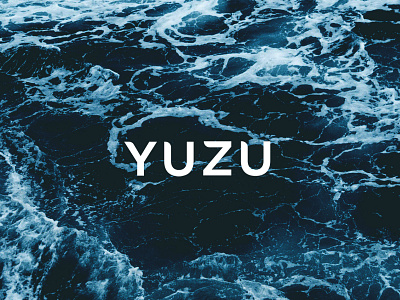 YUZU branding branding and identity branding design design el salvador logo nikkei vector
