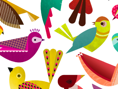 BIRDS birds cute design illustration poster