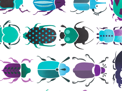 The Beetles beetles bugs illustration insects
