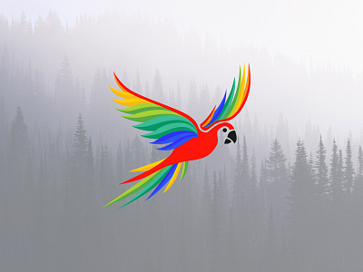 Parrot Illustration bird drawing bird logo colorful bird logo