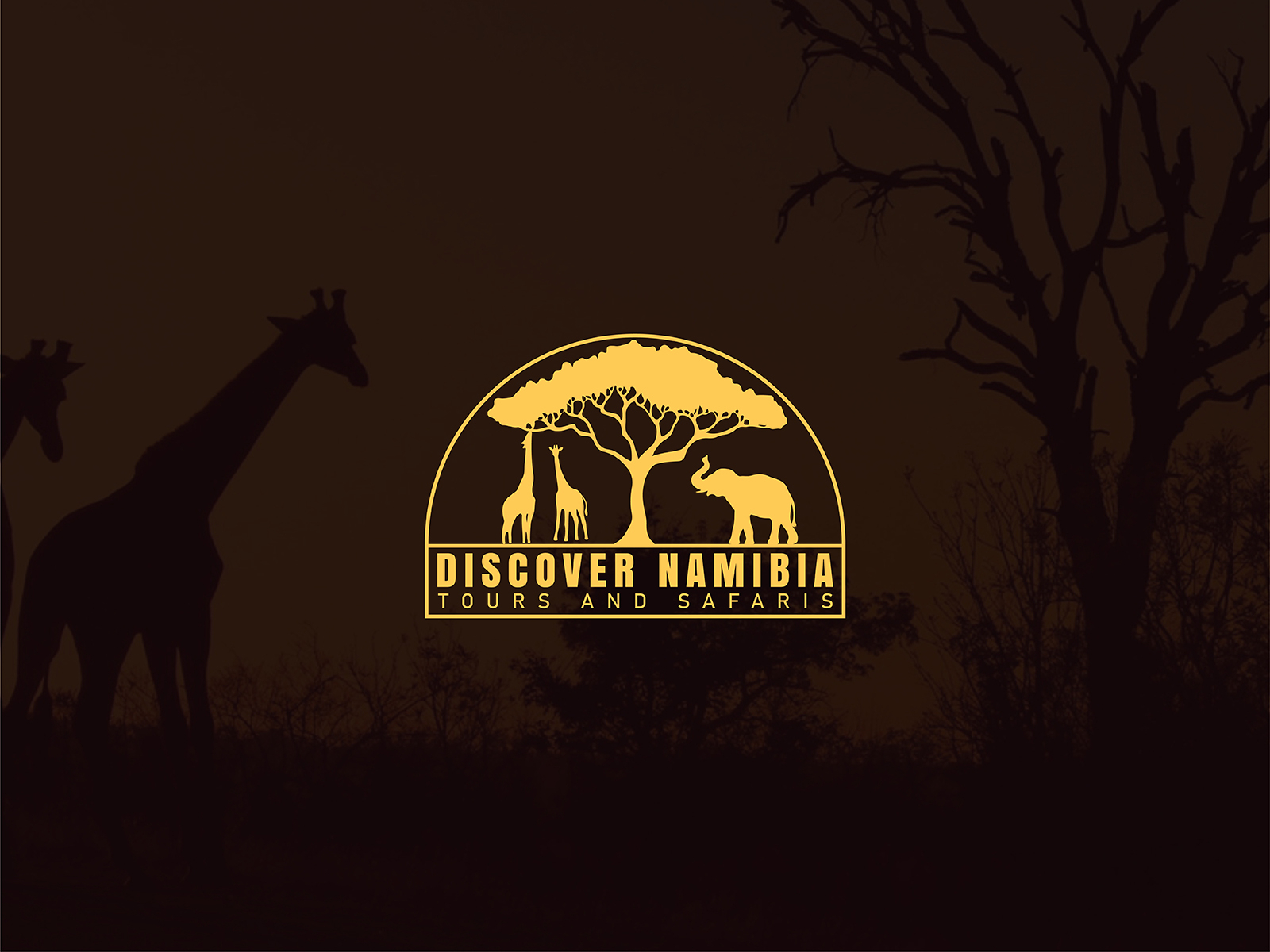 wild safari logo