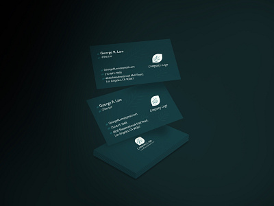 Professional Business Card Design