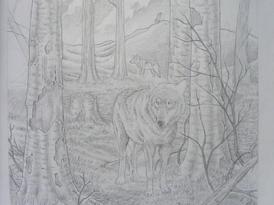 Wolf pack drawing pencil wolf