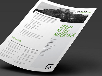 Black Mountain One-Pager design illustration print typography